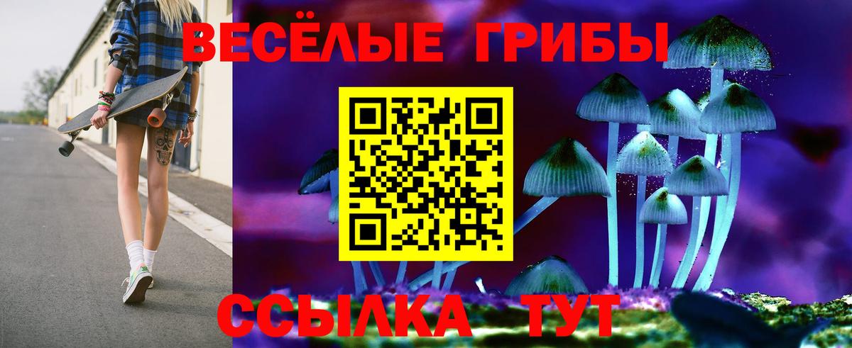 Галлюциногенные грибы MAGIC MUSHROOMS  Вход с VPN  наркота  Строитель 